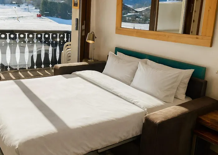 Small Family Mont Blanc View